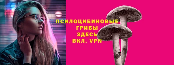 a pvp Бронницы