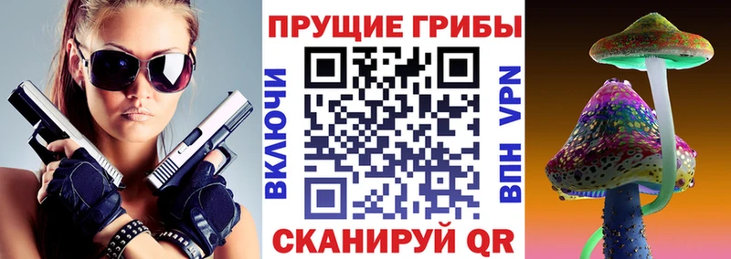 Псилоцибиновые грибы мицелий  Кирово-Чепецк 